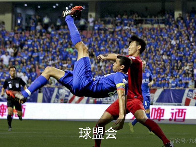 球盟会简介